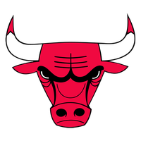 Chicago Bulls logo